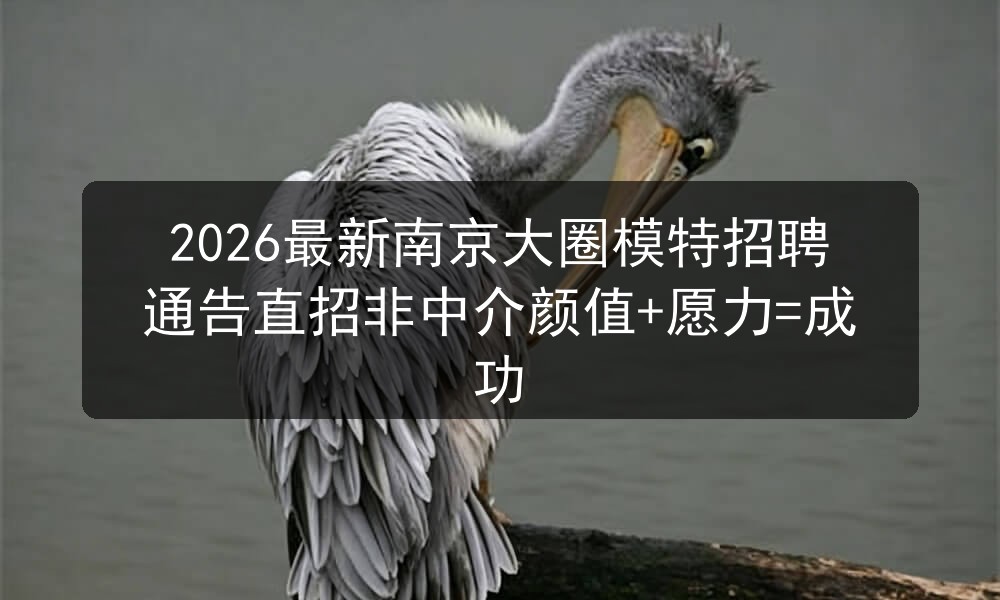 2026最新南京大圈模特招聘通告直招非中介颜值+愿